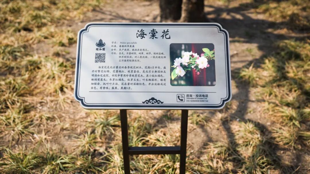 DSC07482 - 副本.jpg