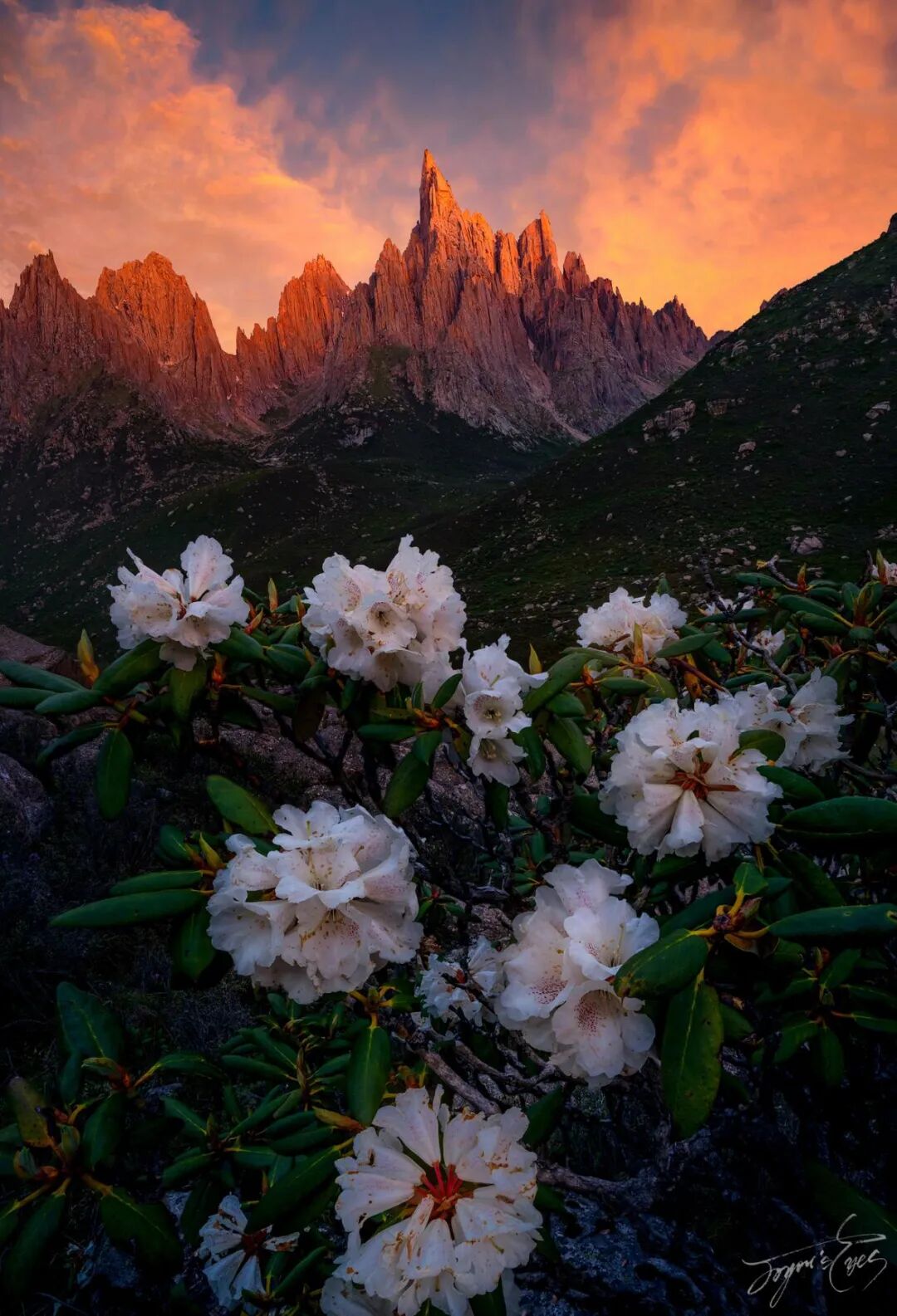 相机afc怎么调改变业界，2013-2023全画幅微单十年记_https://www.jmylbn.com_新闻资讯_第27张