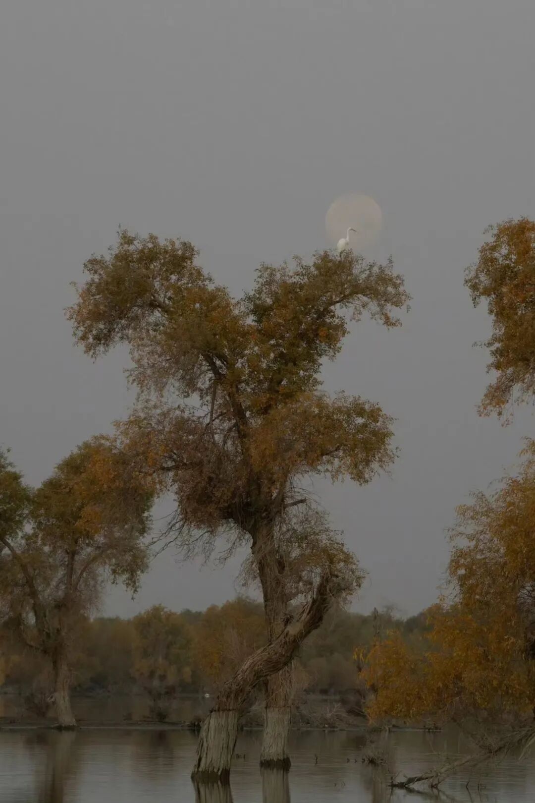 相机afc怎么调改变业界，2013-2023全画幅微单十年记_https://www.jmylbn.com_新闻资讯_第20张