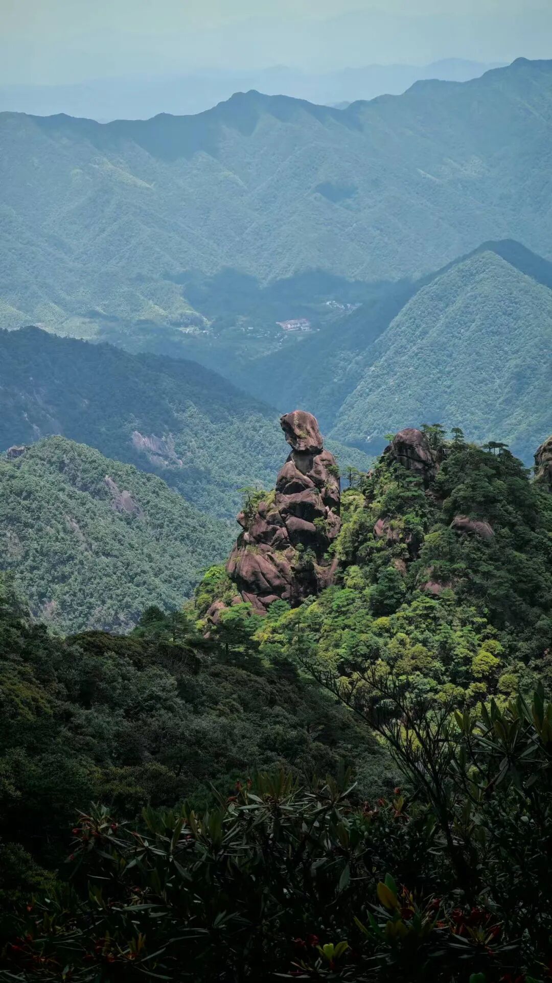 此生必去，风景绝美！！！三清山详细攻略请查收！