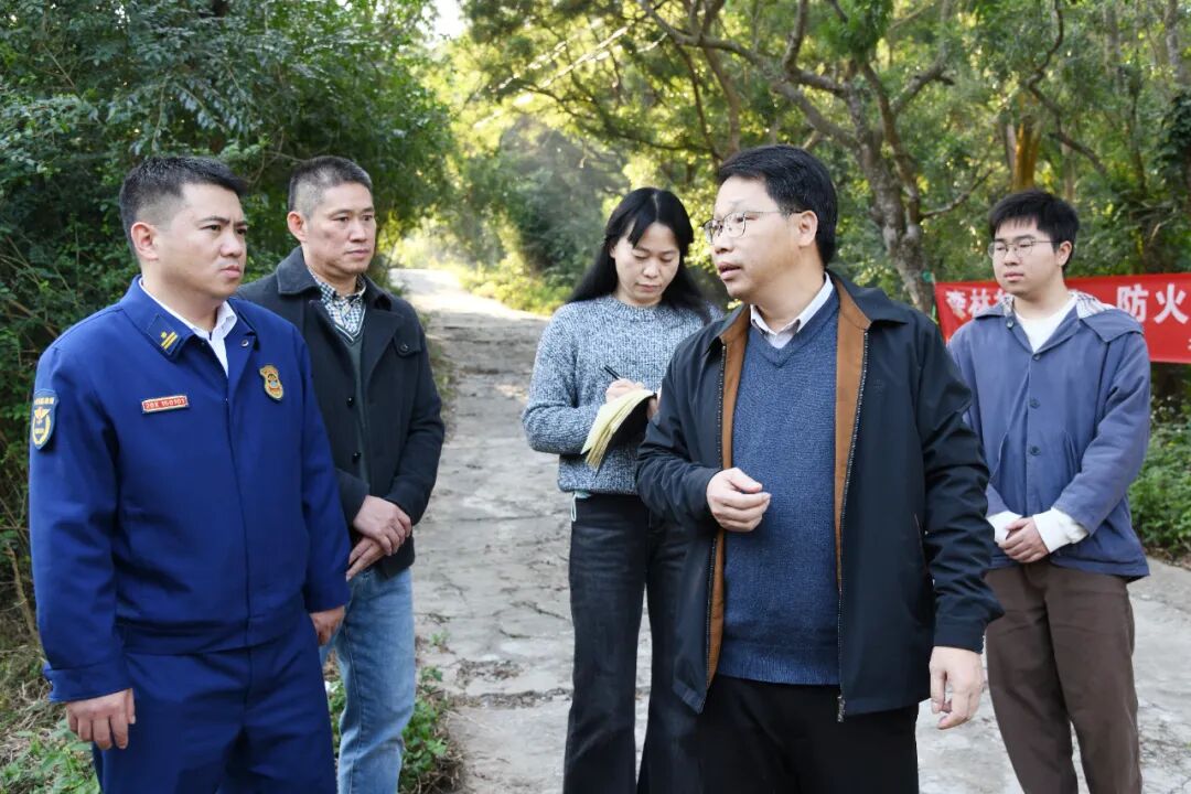 陈文初督导检查安全生产和森林防灭火工作