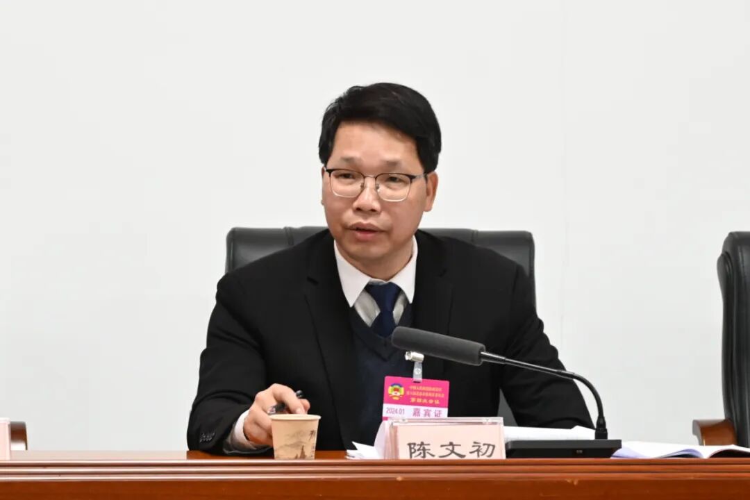 李安洪陈文初参加政协分组讨论