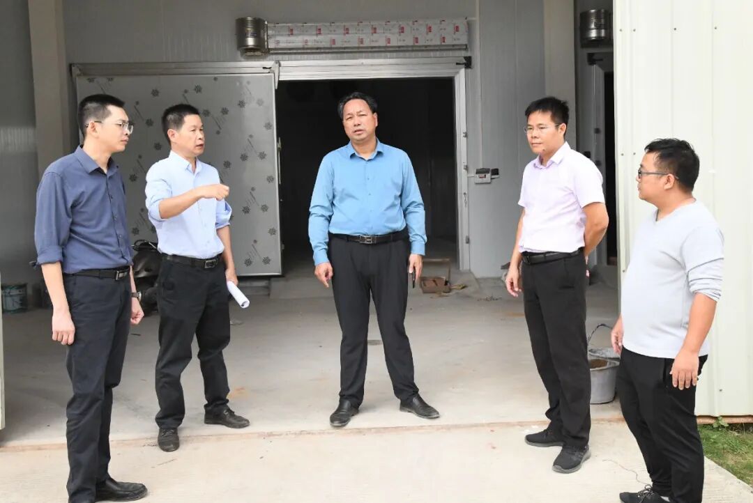 李安洪调研乡村振兴工作 - 海城新闻 - 海城区人民政府