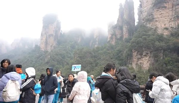 453456.jpg 453456.jpg