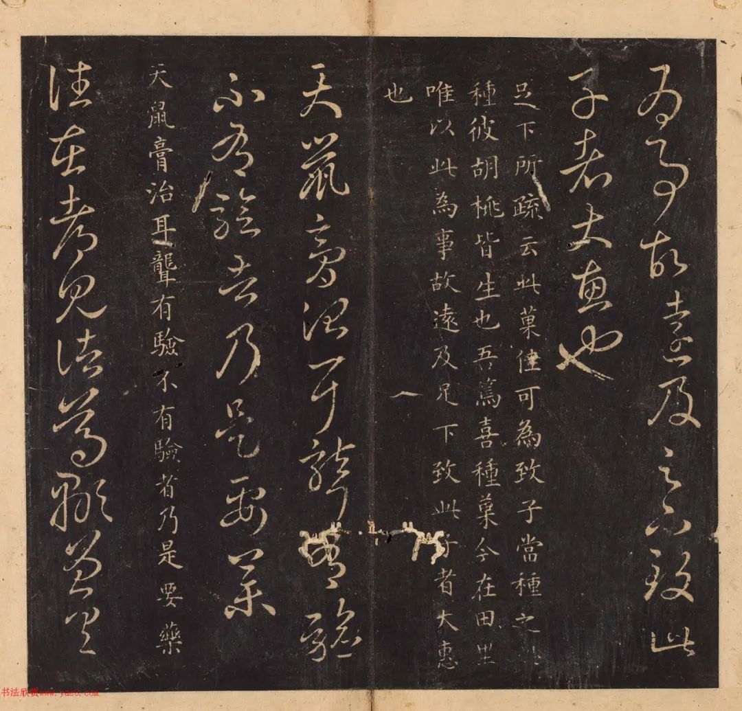 王羲之十七帖原文和译文全版