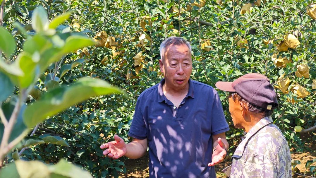 河北这个小山村，竟有169人有职称！咋回事？