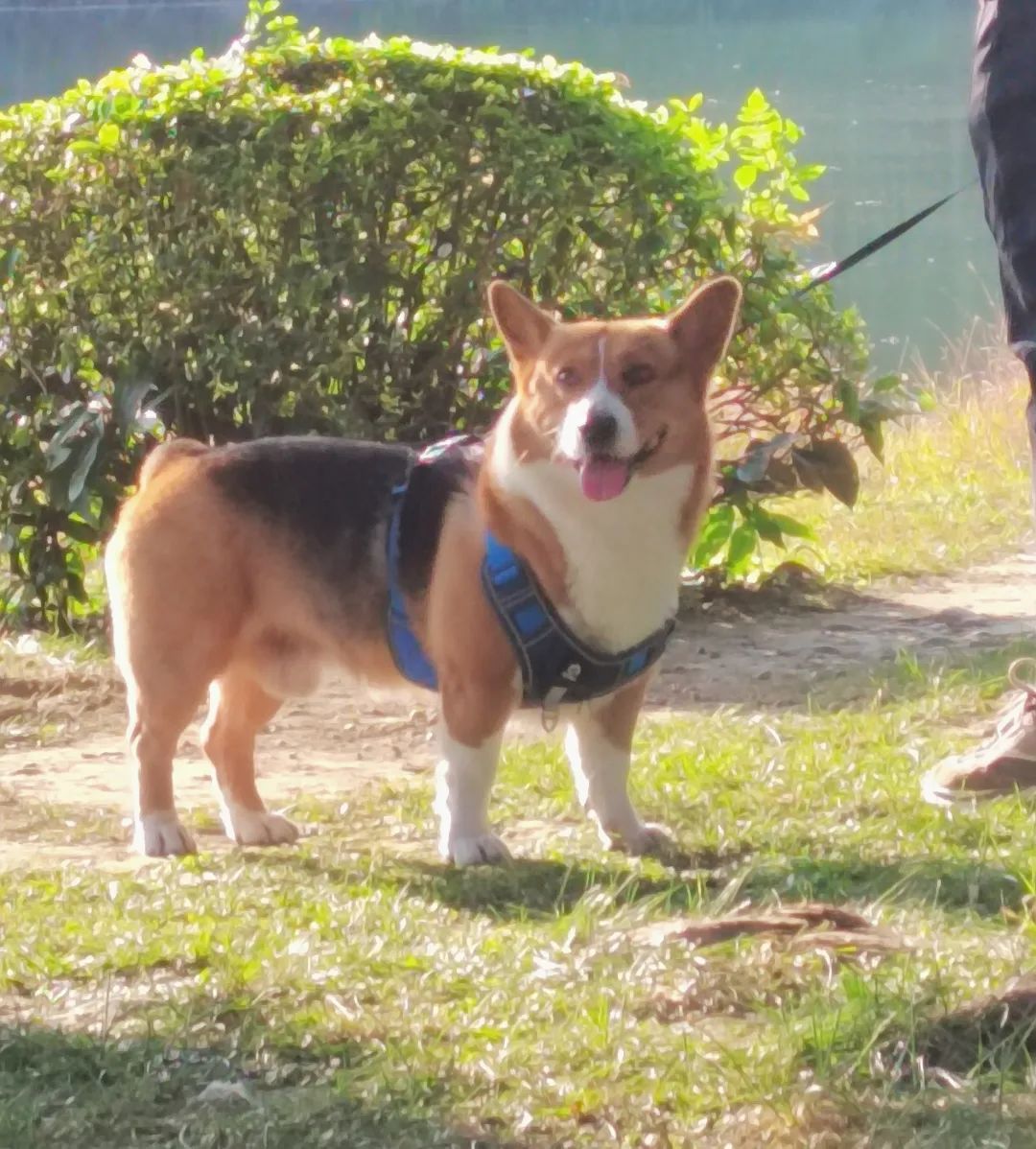 只有阶段性友谊是我的错吗