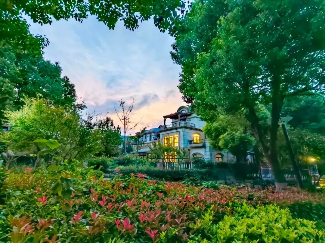 小区绿化实景图