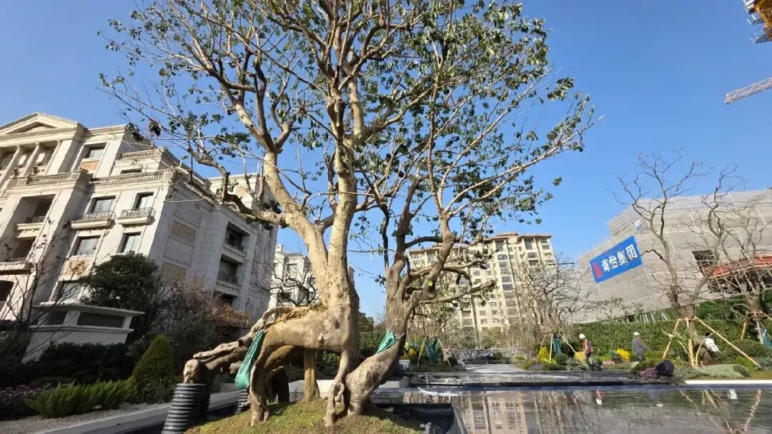 怀山望小区实景图