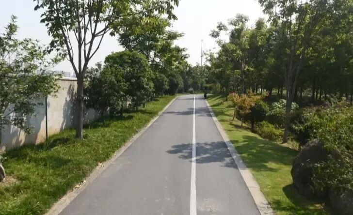 道路实景图