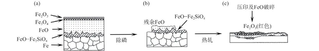10.3969-j.issn.1000-6826.2024.09.1903-Figure3.jpg