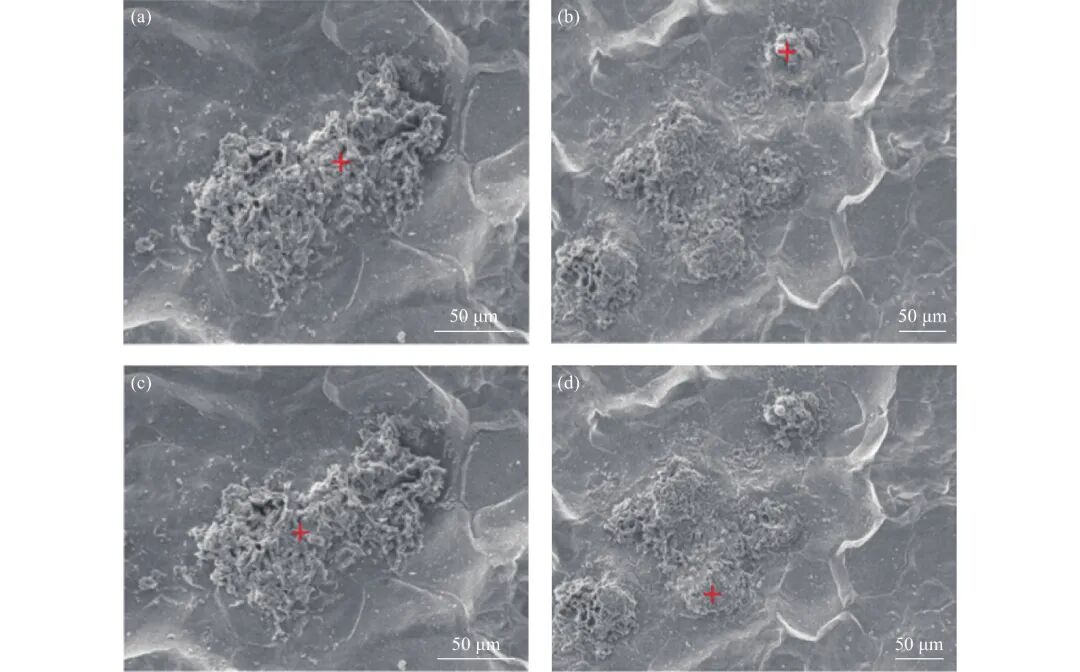 10.3969-j.issn.1000-6826.2024.10.0401-Figure6.jpg