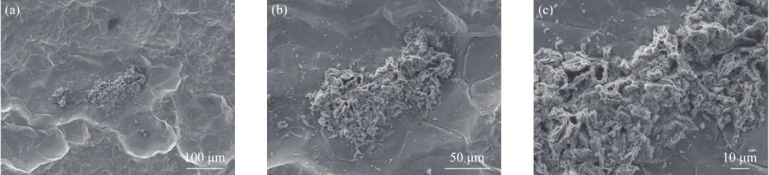 10.3969-j.issn.1000-6826.2024.10.0401-Figure3.jpg