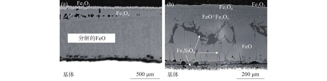 10.3969-j.issn.1000-6826.2024.09.1903-Figure7.jpg