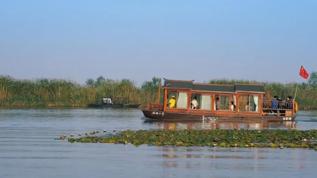 巢湖水质正在逐渐改善