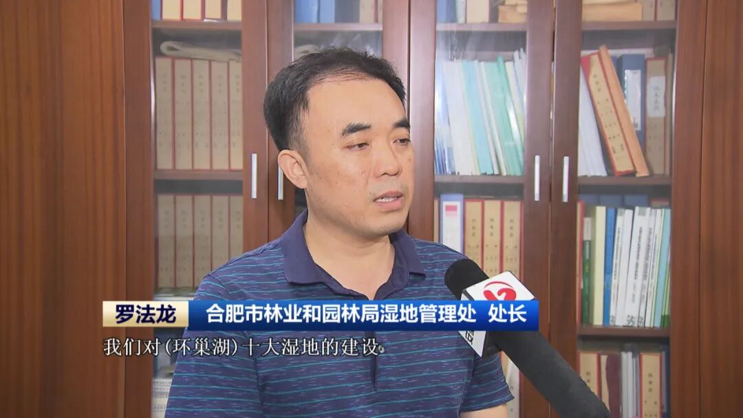 巢湖水质正在逐渐改善