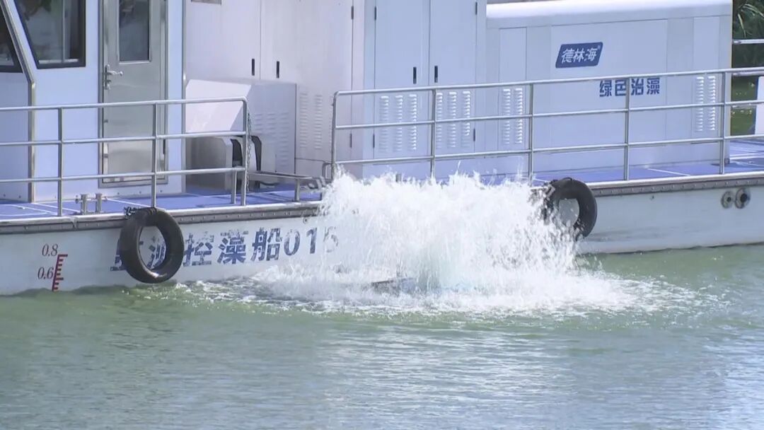 巢湖水质正在逐渐改善