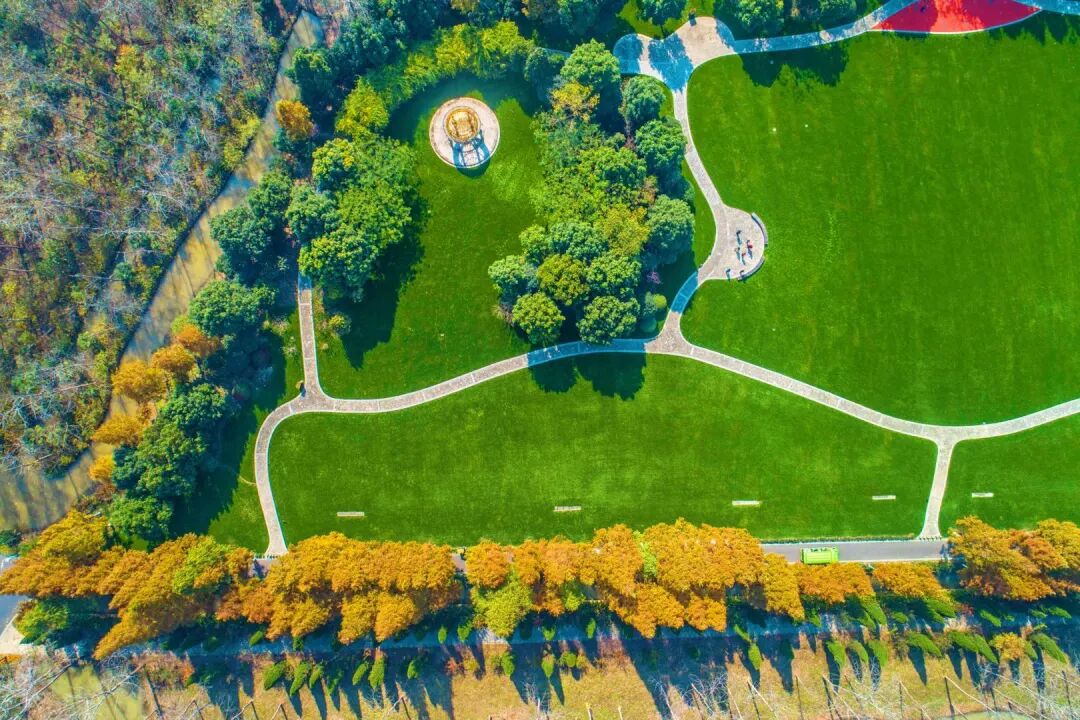 巢湖水质正在逐渐改善