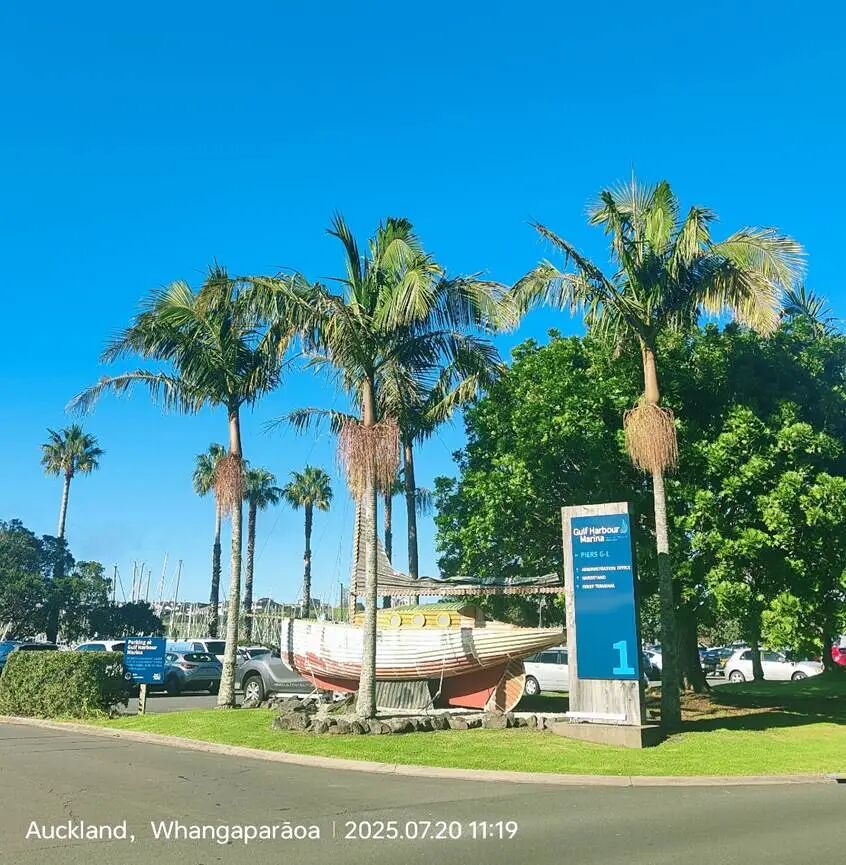 棕榈树和房子
AI 生成的内容可能不正确。