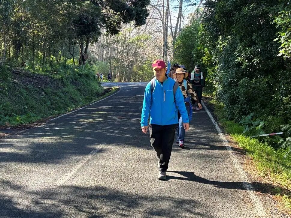 男人在树林旁的路上走
AI 生成的内容可能不正确。