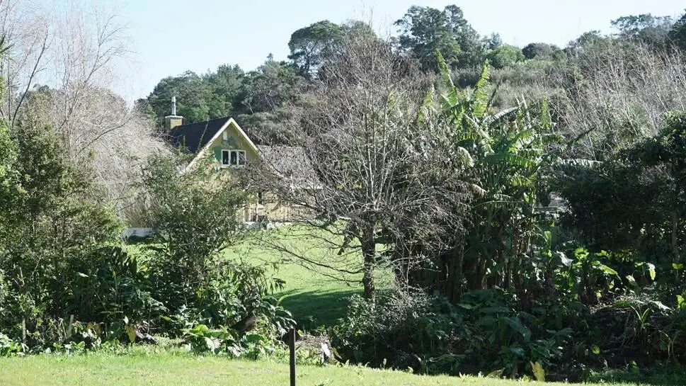 草地上的大树
AI 生成的内容可能不正确。