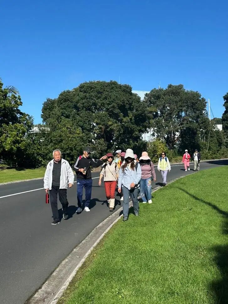 路上有一些绿色的植物
AI 生成的内容可能不正确。
