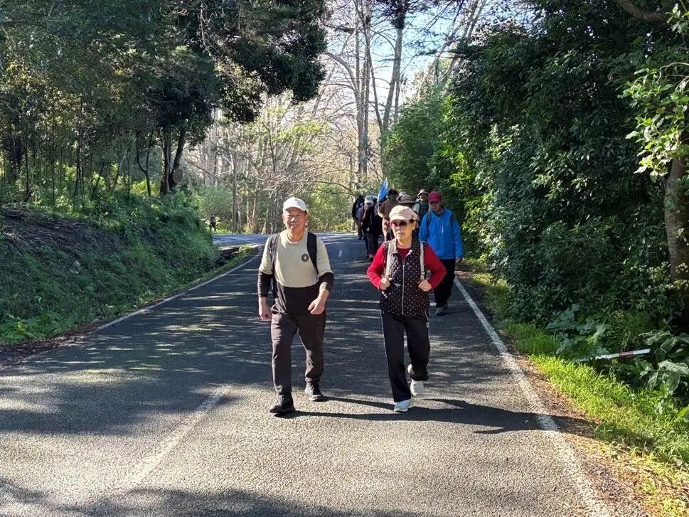 男人和女人在树林旁的路上走
AI 生成的内容可能不正确。