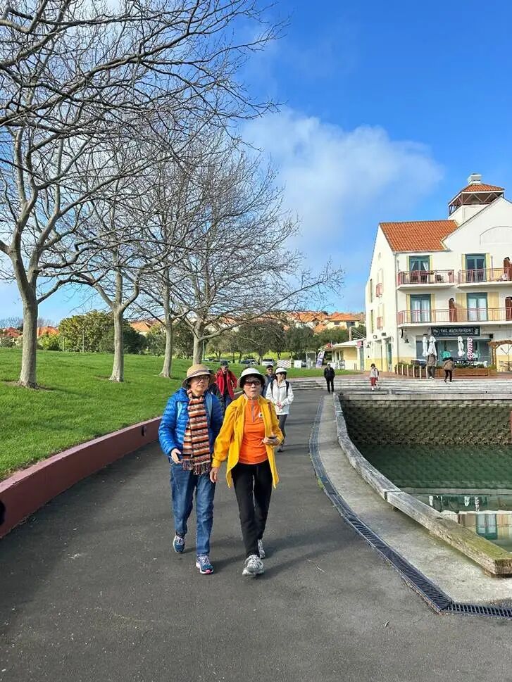 一棵树
AI 生成的内容可能不正确。