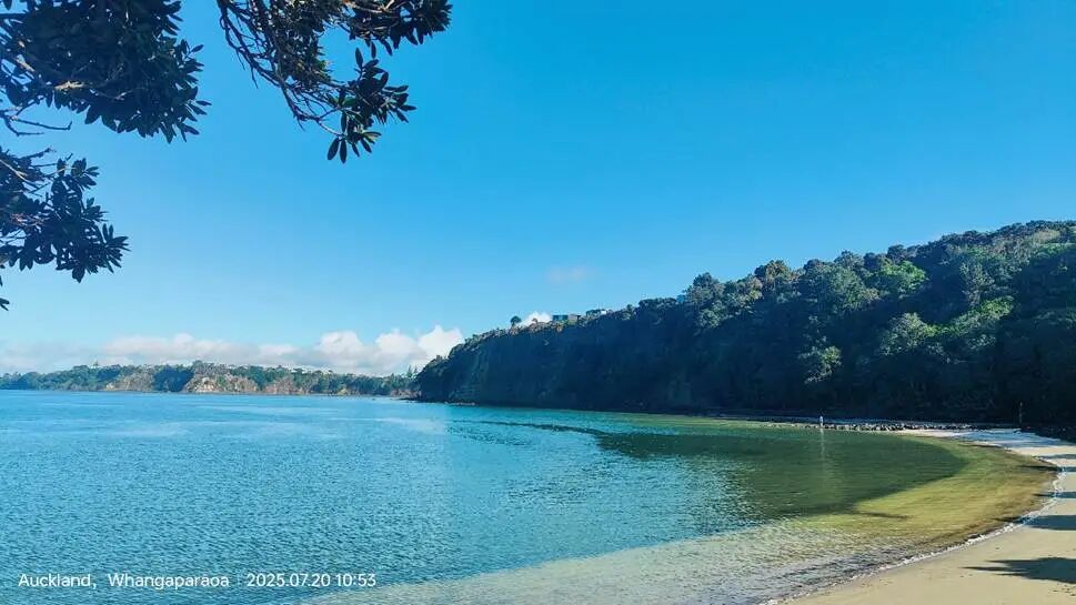 湖边的风景
AI 生成的内容可能不正确。