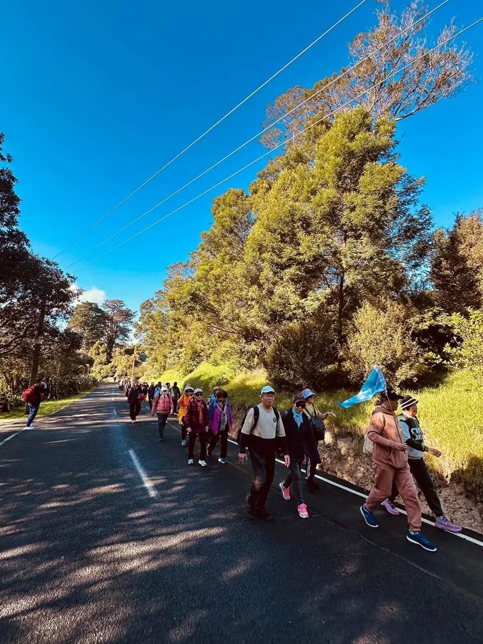 一群人在树林间的小路
AI 生成的内容可能不正确。