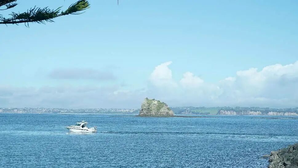 海上的风景
AI 生成的内容可能不正确。