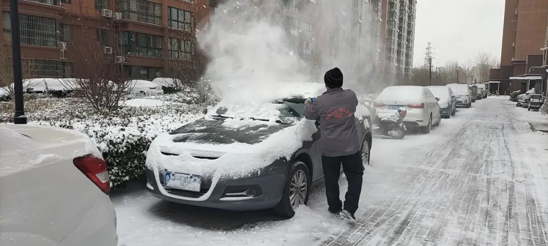 德州下雪了这些雪景令人动容