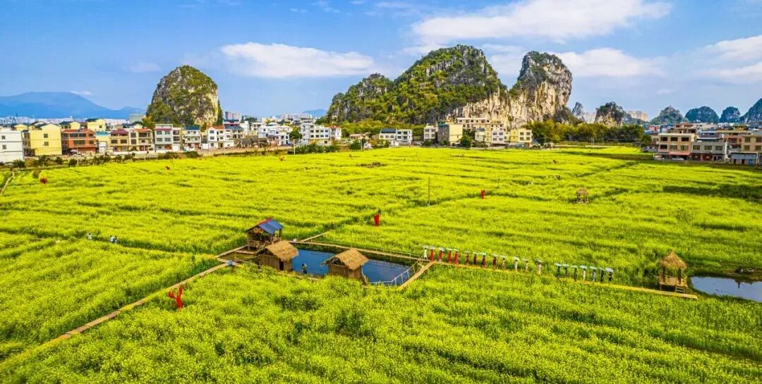 潮玩三月三相约游贵港旅游精品线路助您轻松游贵港