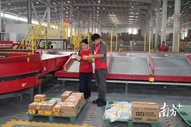 工作人员正在分拣货品。南方+记者 王辉 摄