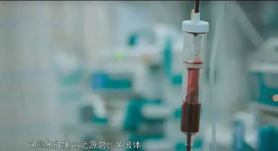 他们开始网暴献血的人