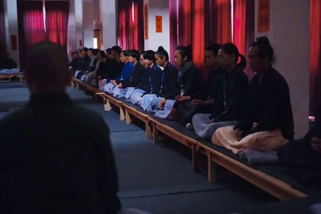 道教学院火了，上山就像在上岸