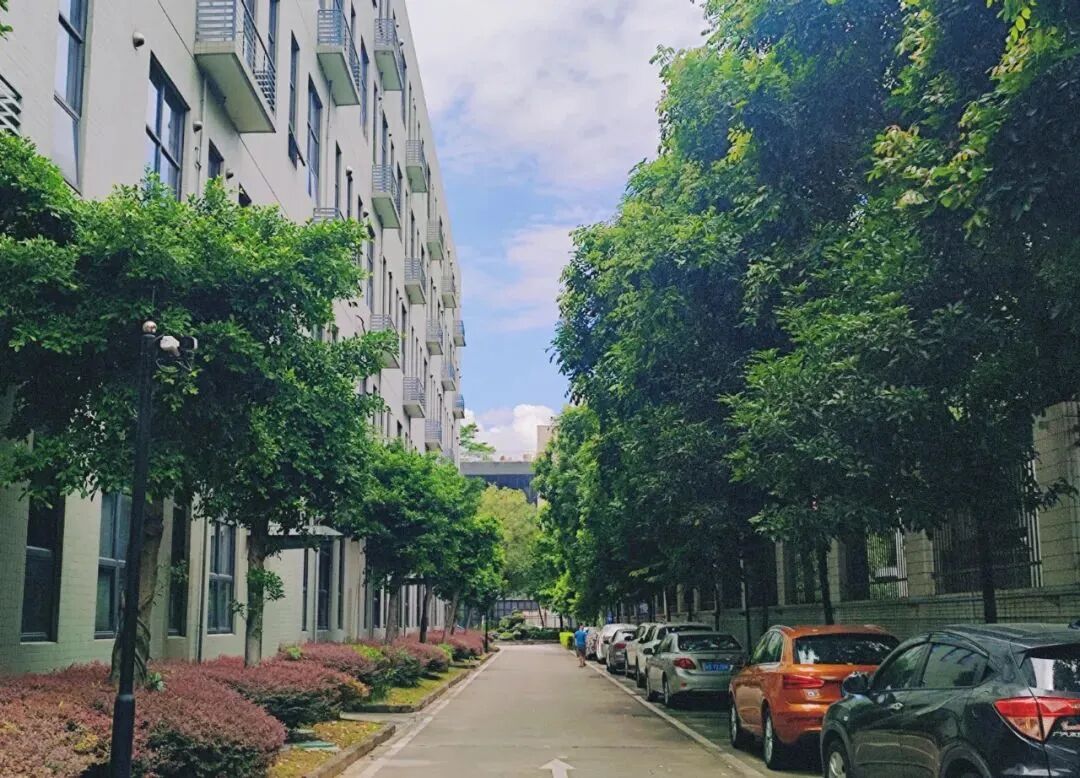 最受误解的城市，收留了今年的毕业生