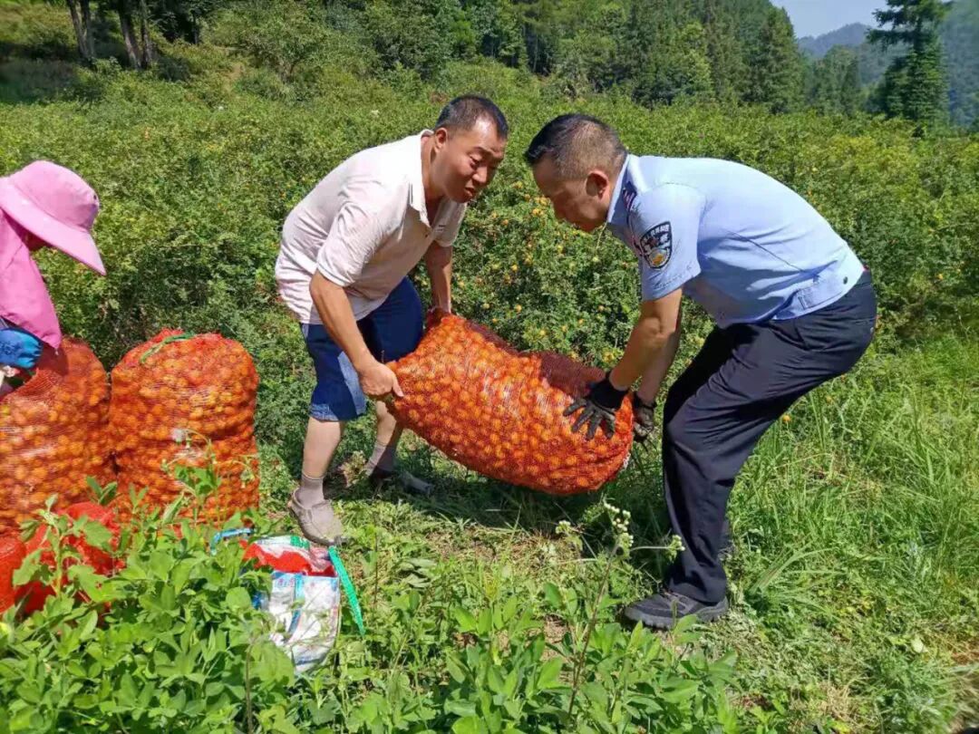 让全村爆哭的男人，有什么来头