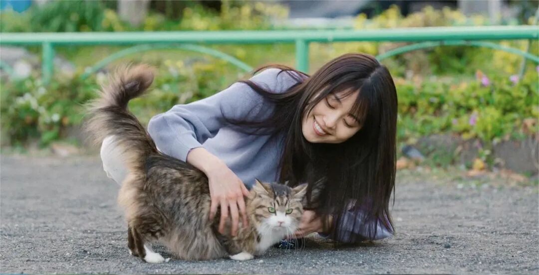 标价1万实付3万宠物交易有多坑