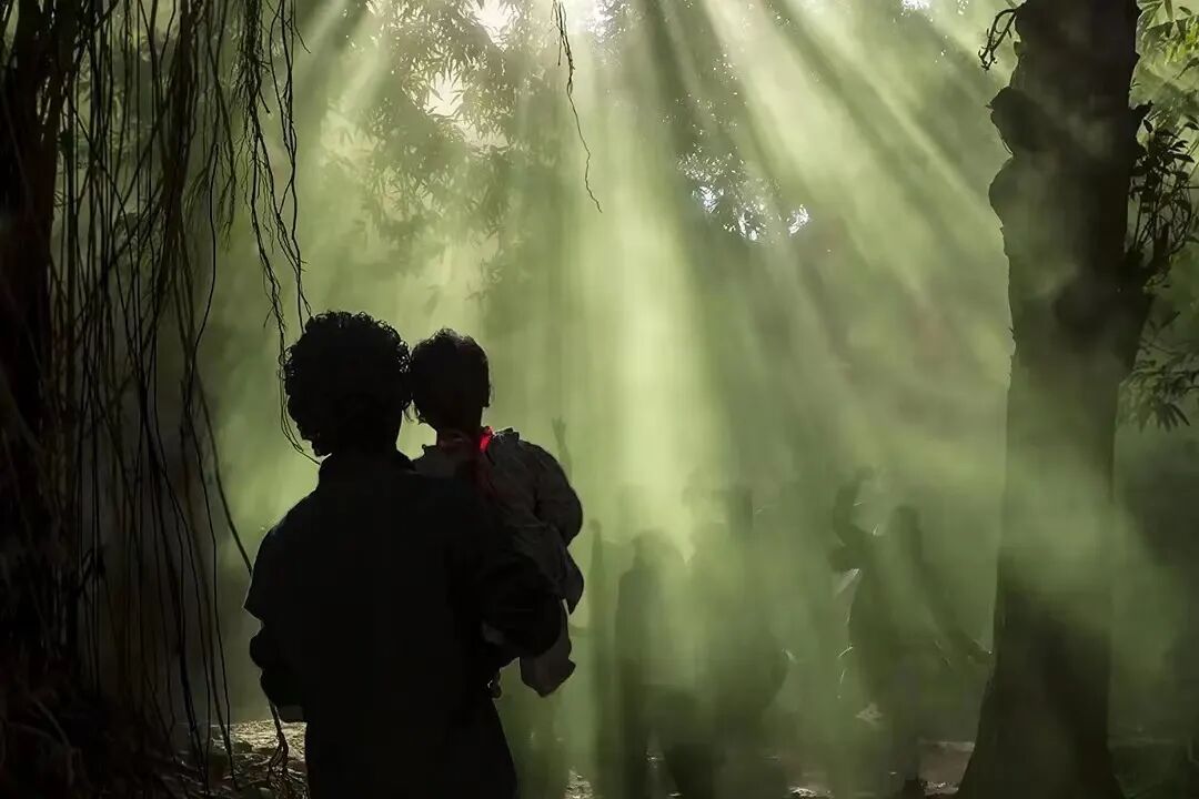 在印度，心理学成了最热门文科专业