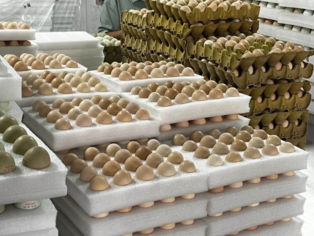 关心环境，他不是说说而已