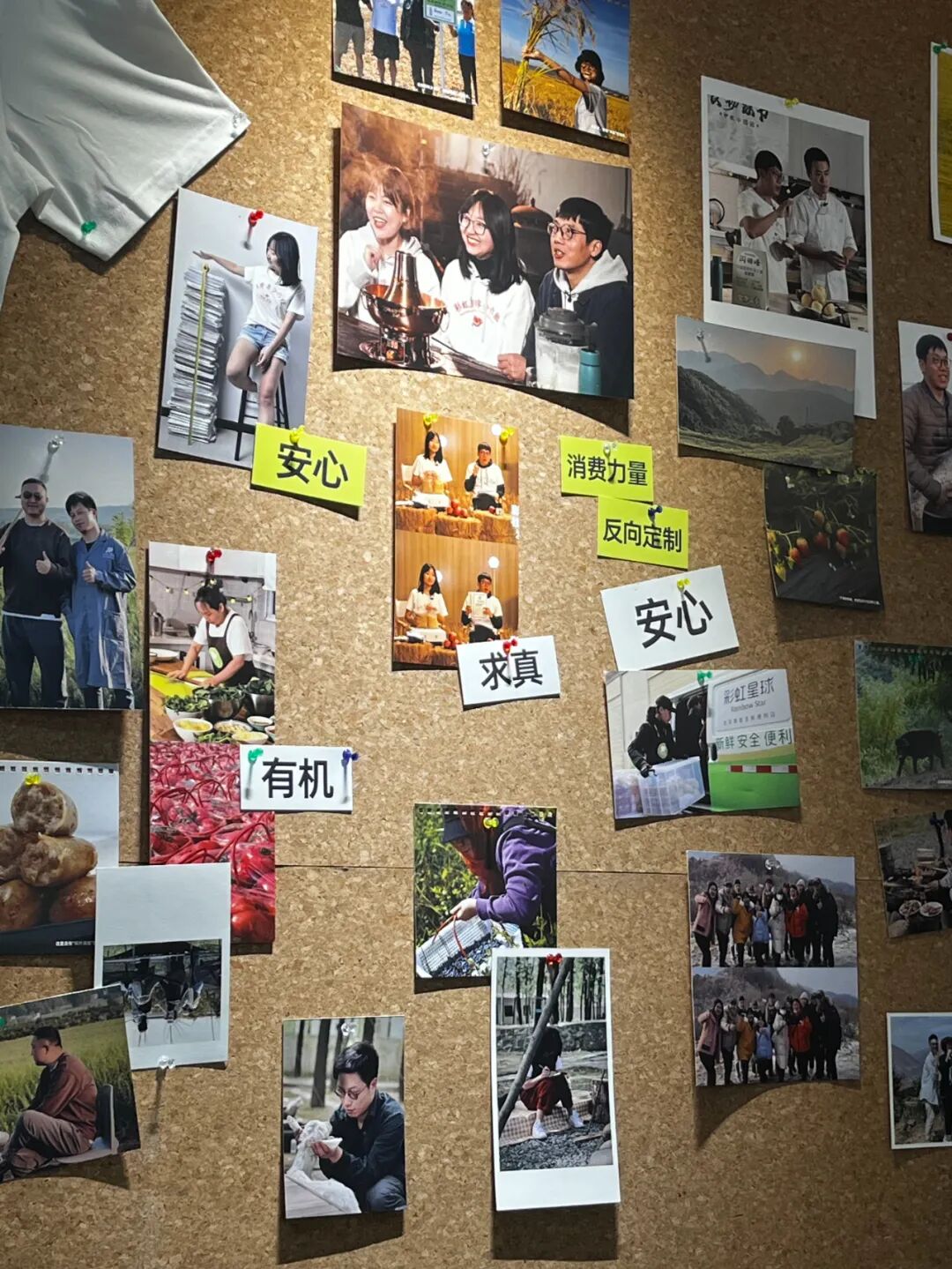 关心环境，他不是说说而已