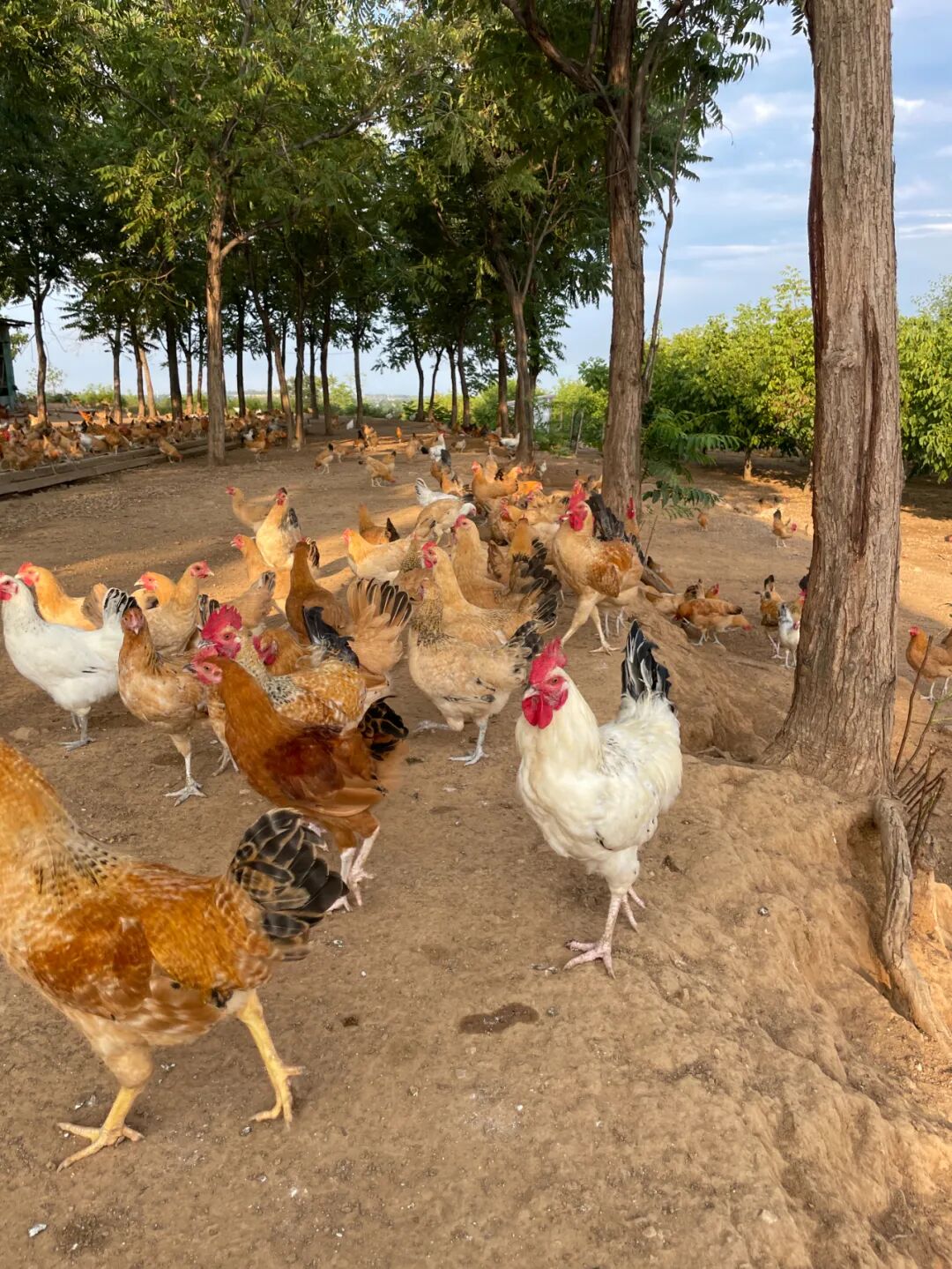 关心环境，他不是说说而已