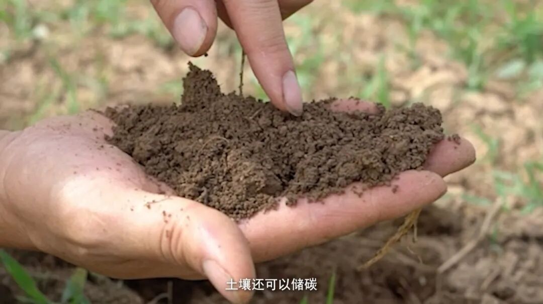 关心环境，他不是说说而已