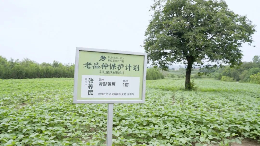 关心环境，他不是说说而已