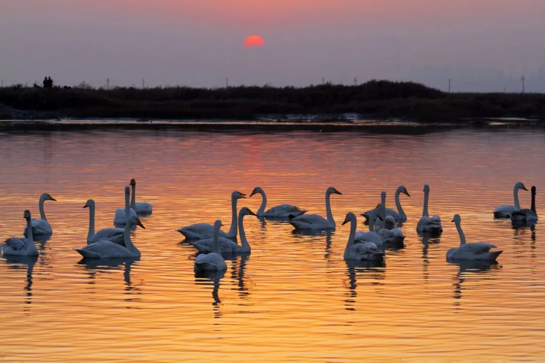 山西运城,"死海"边的决断
