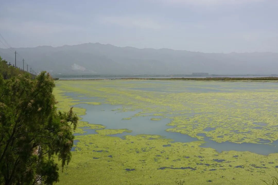 山西运城,"死海"边的决断