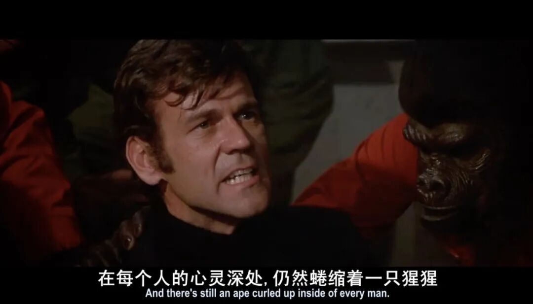 一群猩猩,让人类害怕了