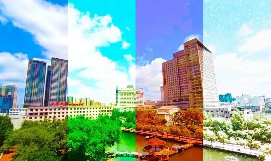 什么是超声容积探头科普 ｜ 三分钟，带您了解超声检查_https://www.jmylbn.com_新闻资讯_第12张